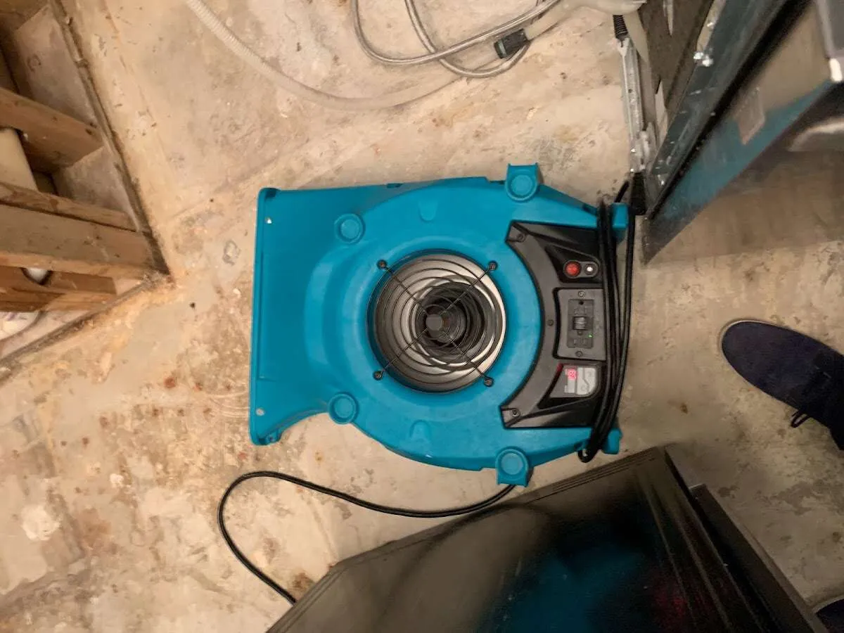 Air mover drying equipment for Mold Remediation & Removal in Alamo Heights